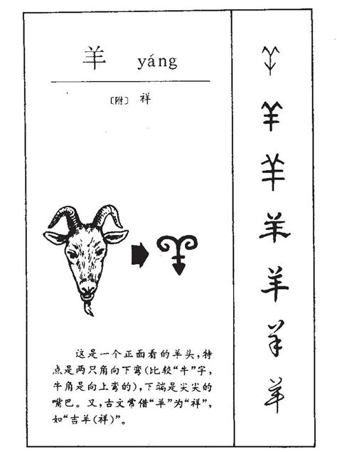 羊字頭|部首是「羊」的國字一覽